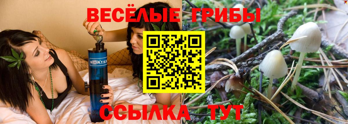 Галлюциногенные грибы Psilocybine cubensis  Вход с VPN  Ейск 